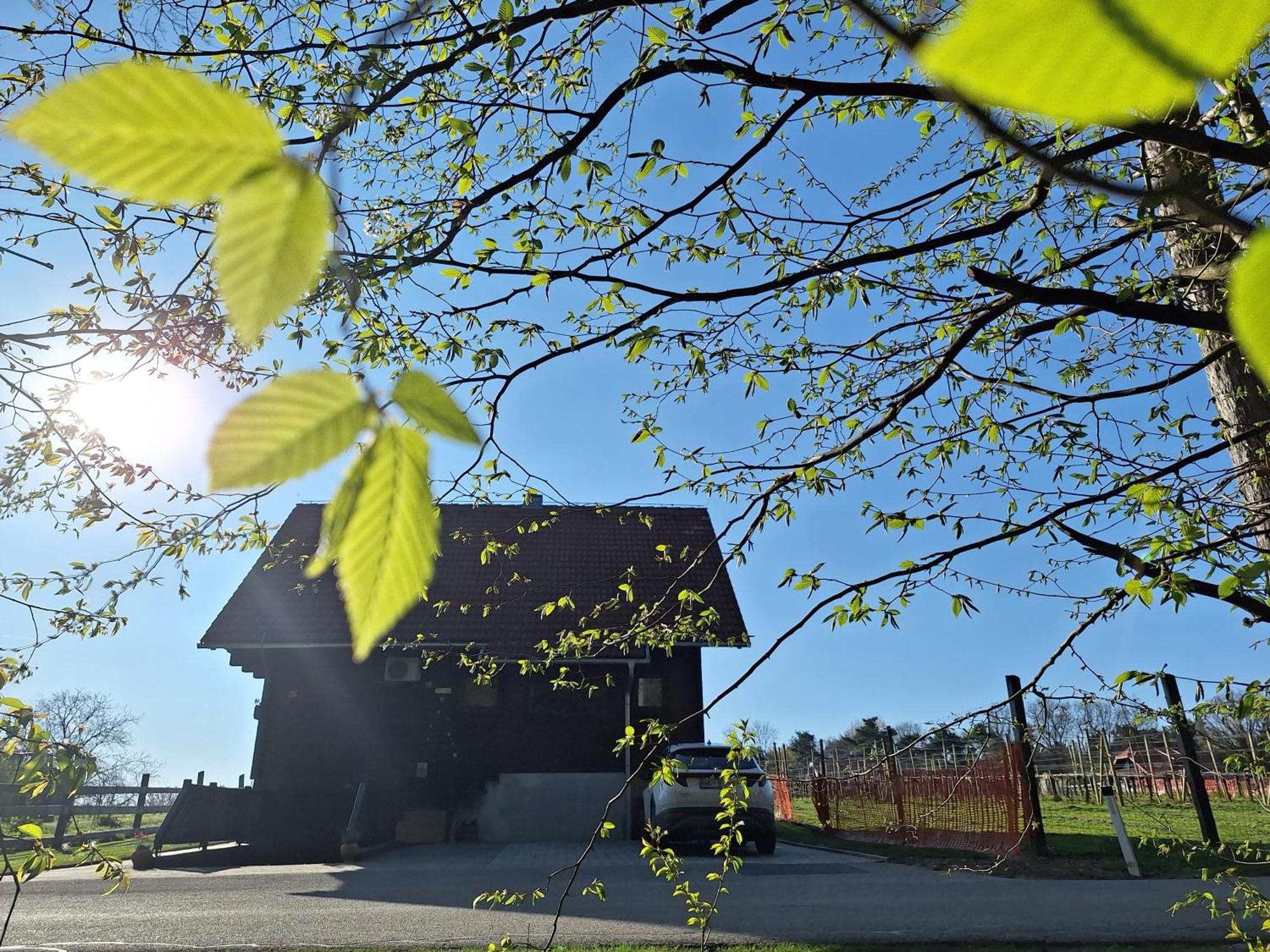 Вилла Logarska Koca Fokovci Экстерьер фото